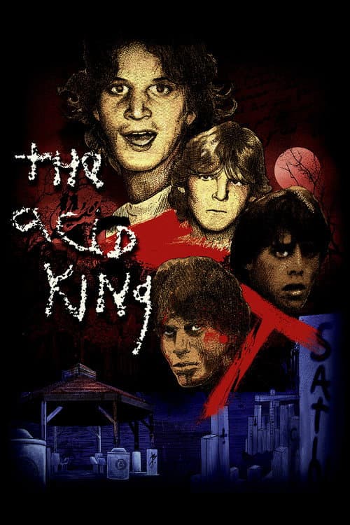 Poster for The Acid King