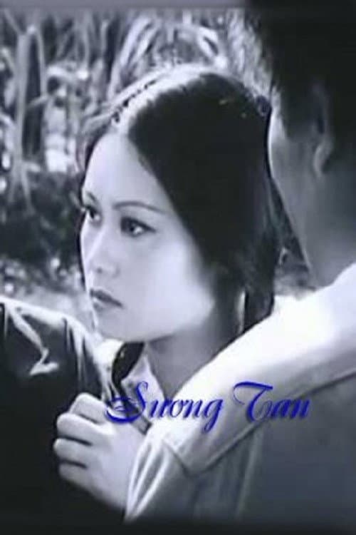 Poster for Vanishing Mist
