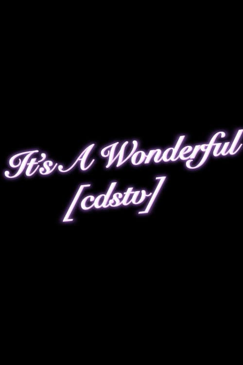 Poster for It's a Wonderful [cdstv]