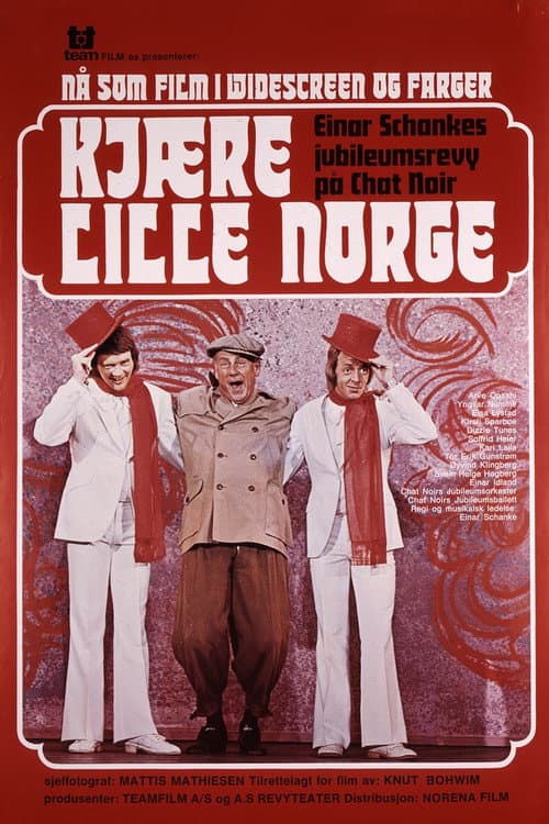 Poster for Dear Little Norway