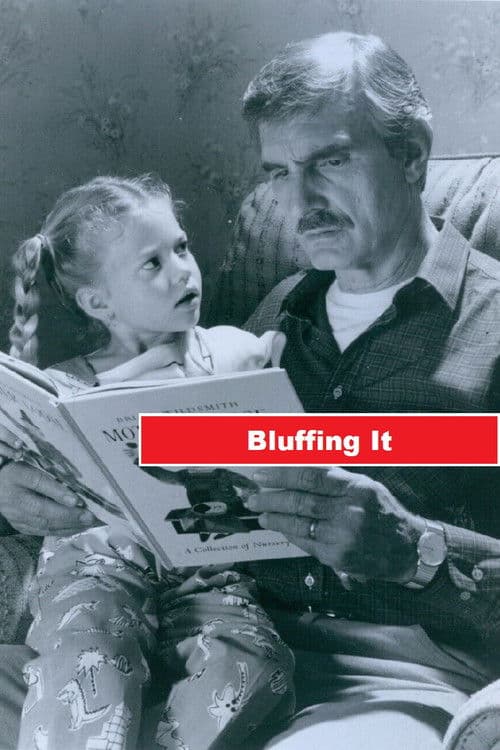 Poster for Bluffing It