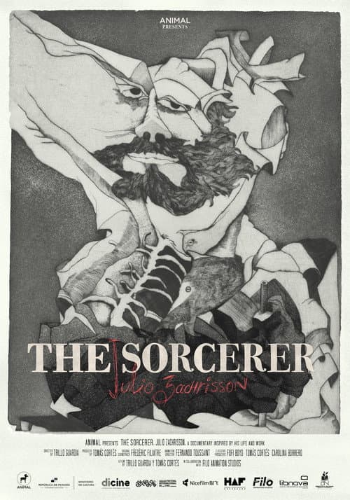 Постер до фільму «The Sorcerer: Julio Zachrisson»