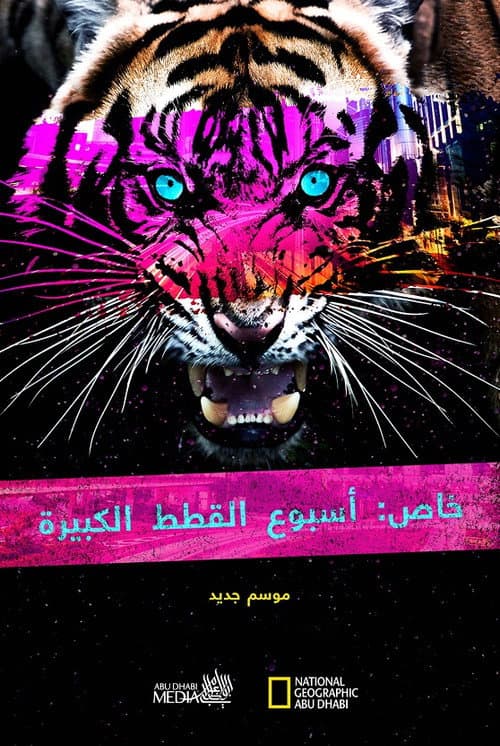 Poster for Big Cat Week Collection