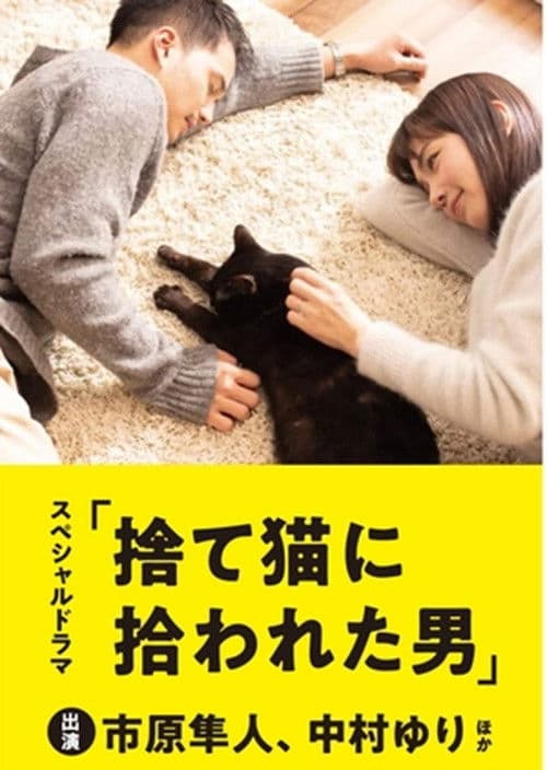 Poster for The Man Who Got Picked Up by a Stray Cat