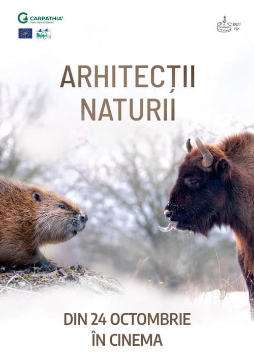 Poster for Nature's Architects