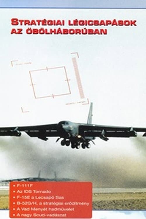 Poster for Combat in the Air - Strategic Air Power in the Gulf