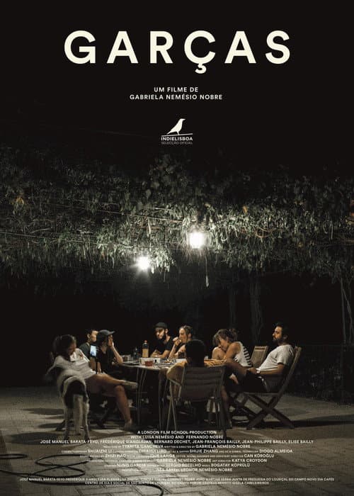 Poster for Egrets