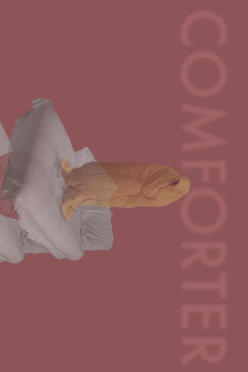 Poster for Comforter