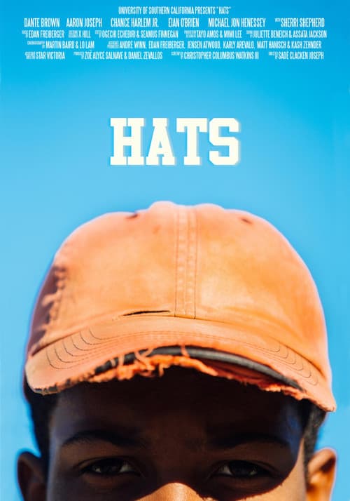 Poster for Hats