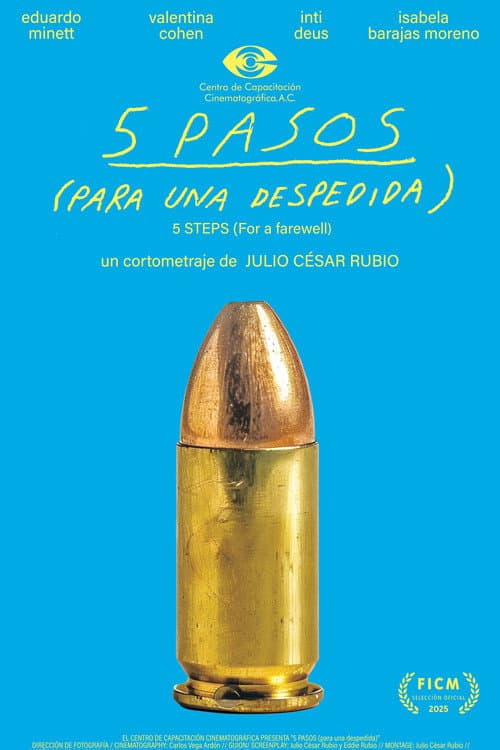 Poster for 5 PASOS (para una despedida)
