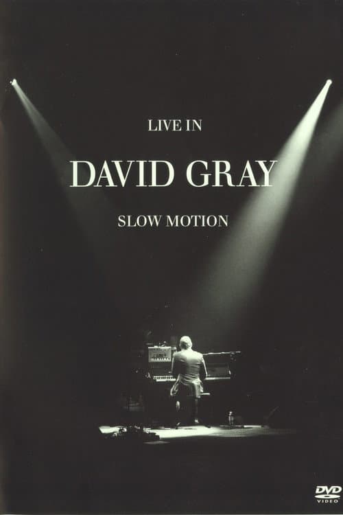 Poster for David Gray: LIVE in Slow Motion