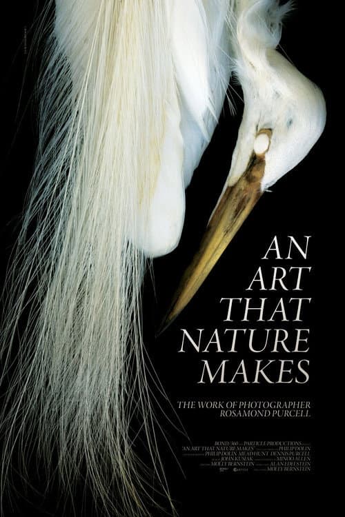 Poster for An Art That Nature Makes: The Work of Rosamond Purcell