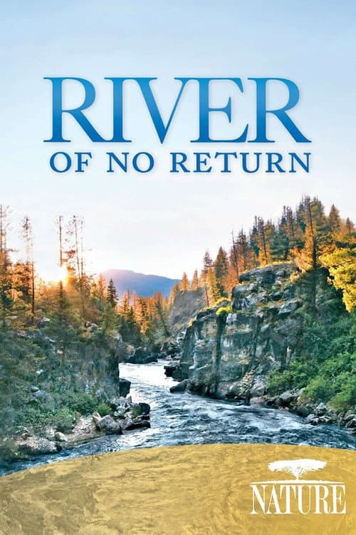Poster for River of No Return