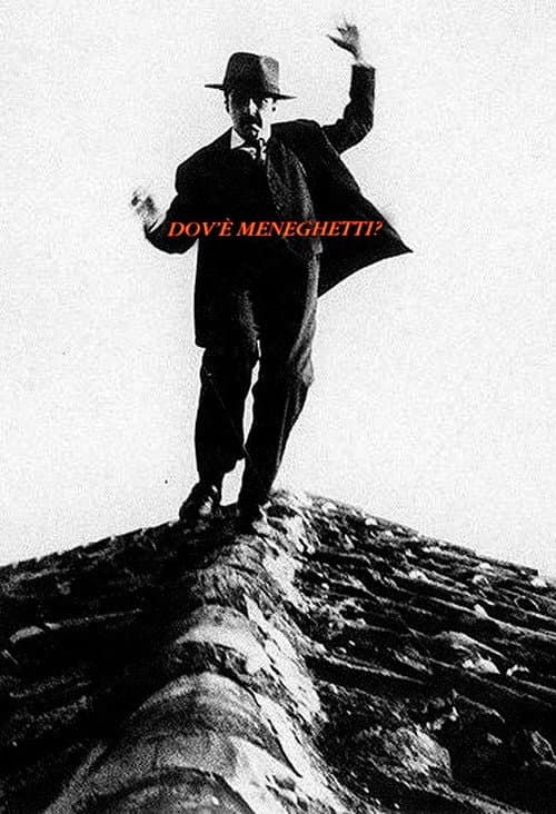 Poster for Dov'è Meneghetti?