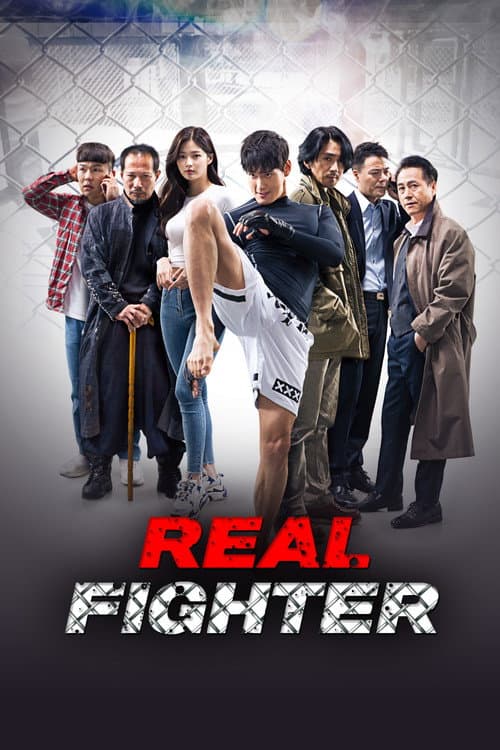 Poster for Real Fighter