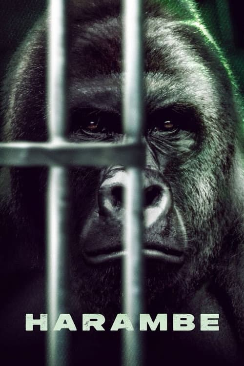 Poster for Harambe
