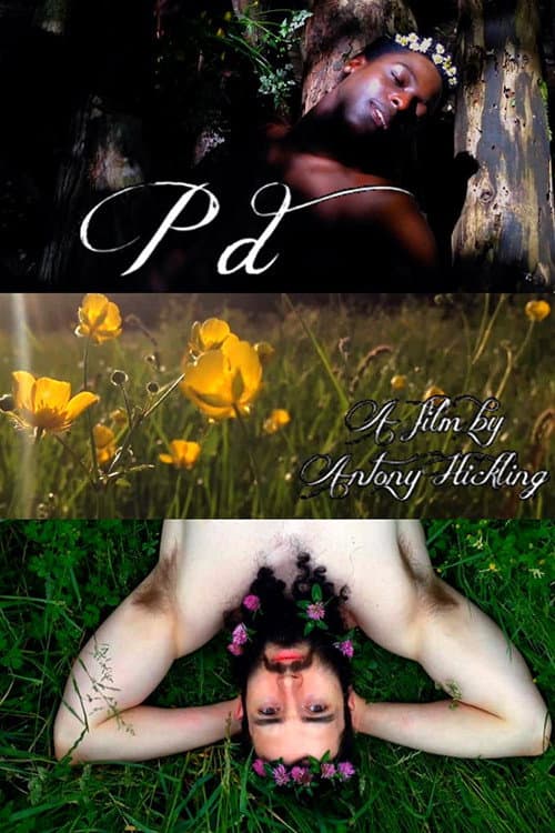 Poster for P.D