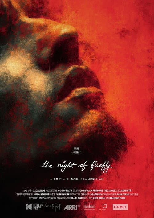 Poster for The Night of Firefly