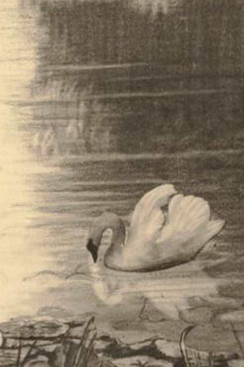 Poster for The Ugly Duckling