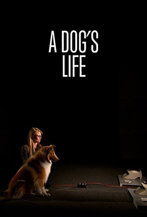 Poster for A Dog's Life
