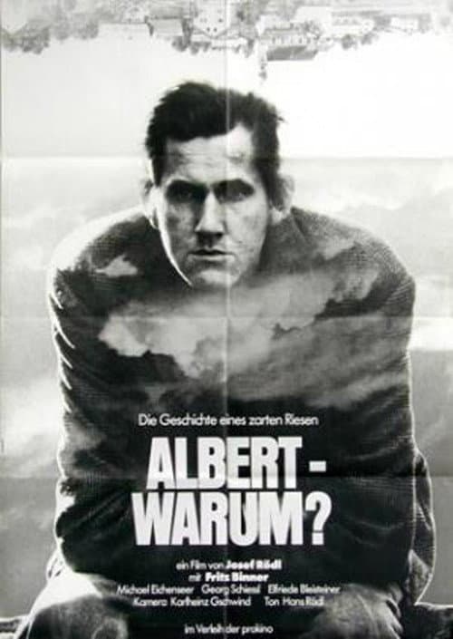 Poster for Albert - warum?