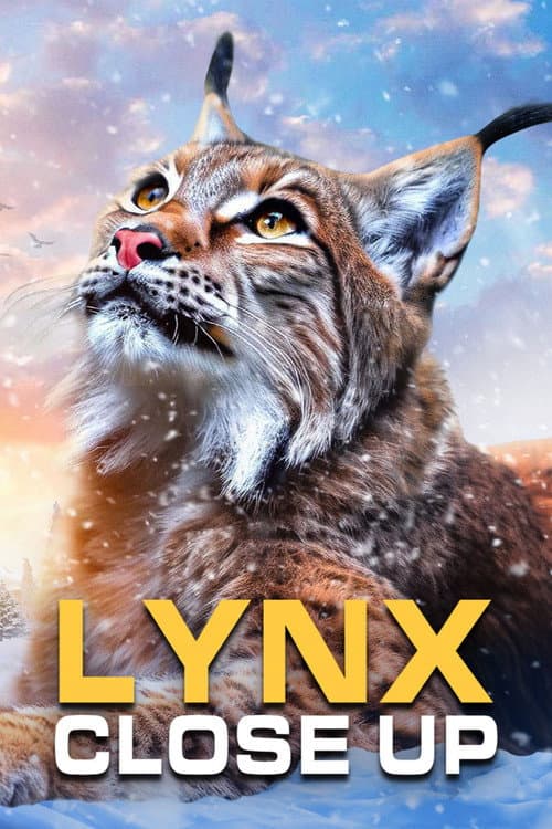 Poster for Lynx - Close Up