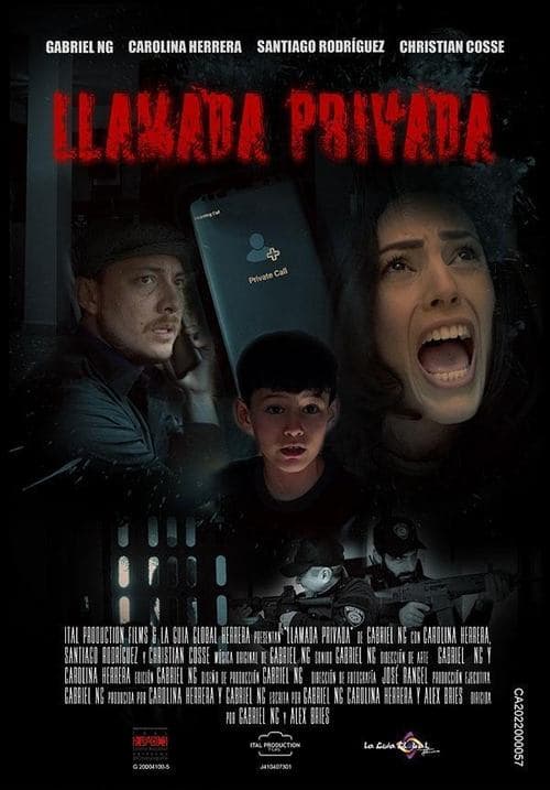 Poster for Private call