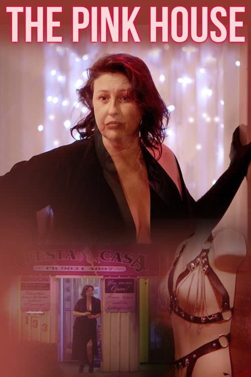 Poster for The Pink House