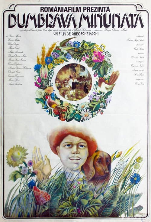 Poster for The Enchanted Grove