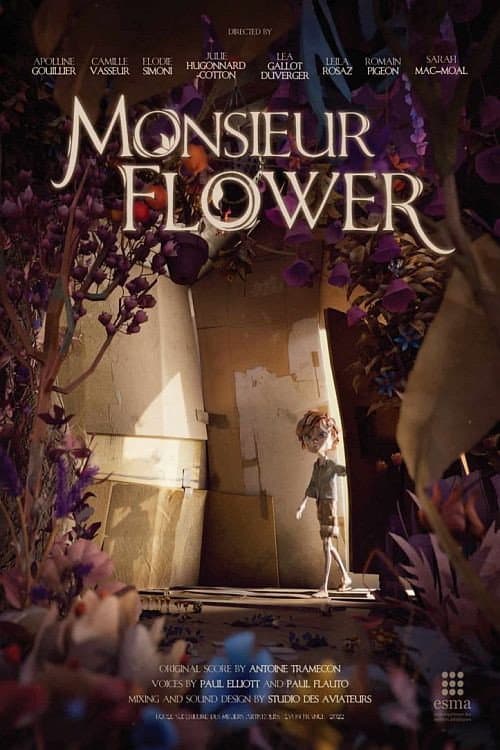 Poster for Mr Flower