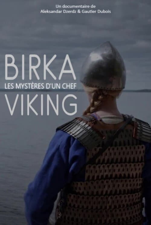 Poster for Birka, les mystères d'un chef viking