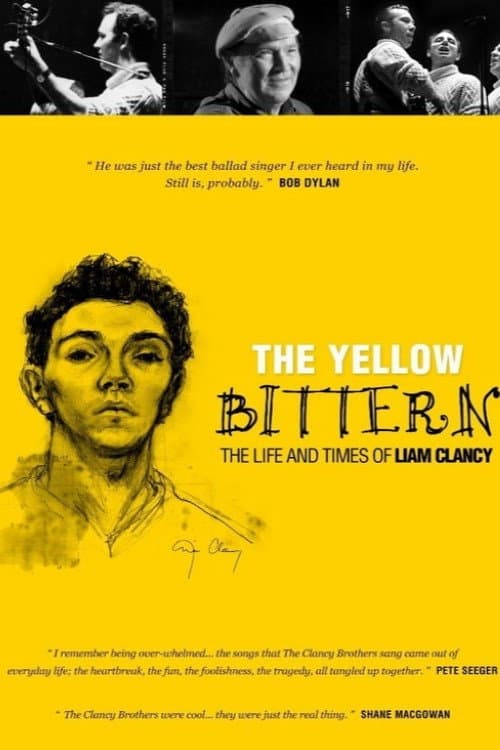Poster for The Yellow Bittern