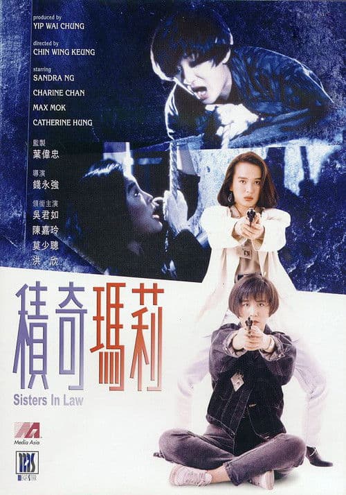 Постер до фільму «Sisters In Law»