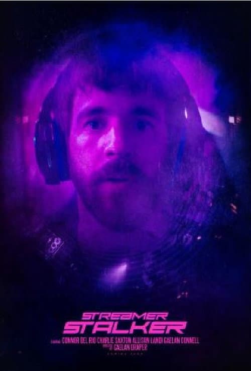 Poster for Streamer Stalker