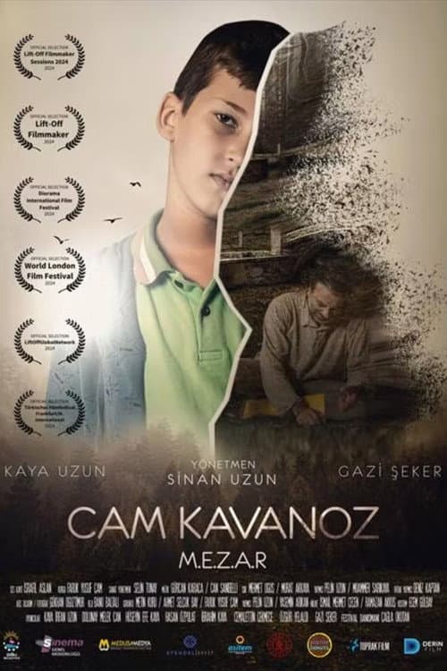 Poster for Cam Kavanoz