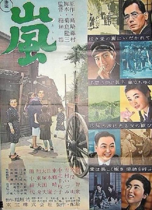 Poster for The Storm