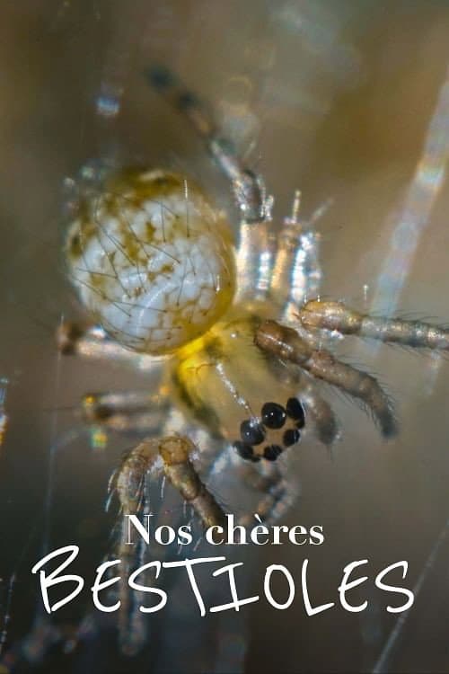 Poster for Nos chères bestioles