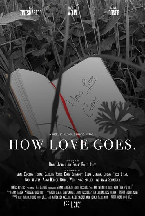 Poster for How Love Goes.