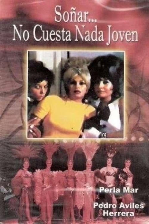 Poster for Soñar no cuesta nada, jóven