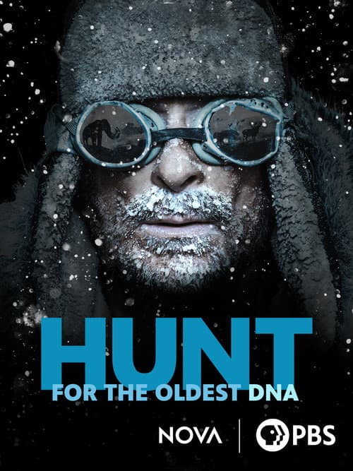 Poster for Hunt for the Oldest DNA