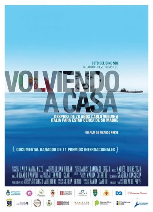Poster for Volviendo a casa