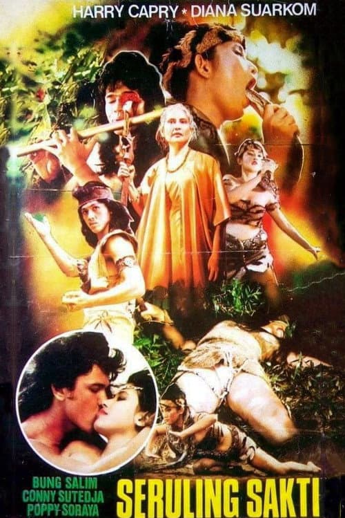 Poster for Magical Flute