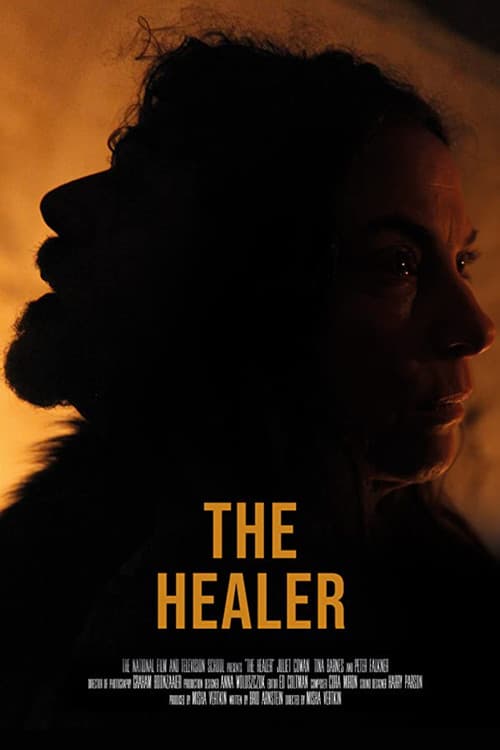 Poster for The Healer