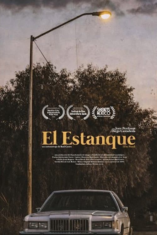Poster for The Pond