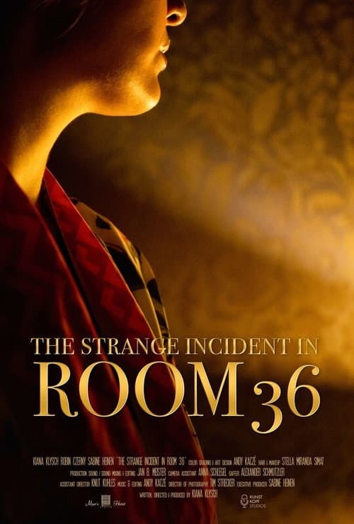 Poster for The Strange Incident In Room 36