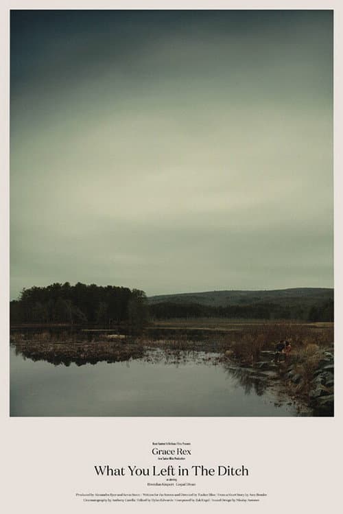 Poster for What You Left in the Ditch