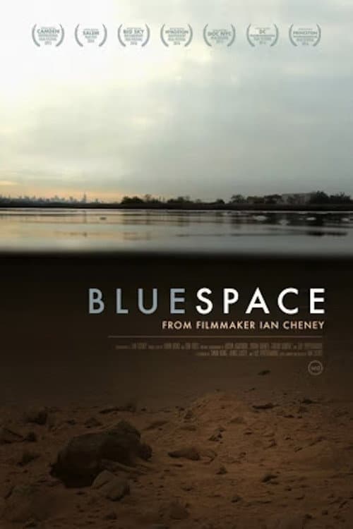 Poster for Bluespace