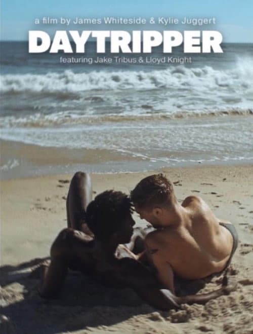 Poster for Daytripper
