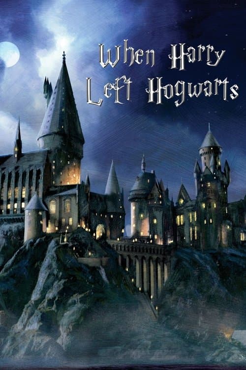 Poster for When Harry Left Hogwarts