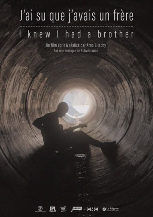 Poster for I Knew I had a Brother